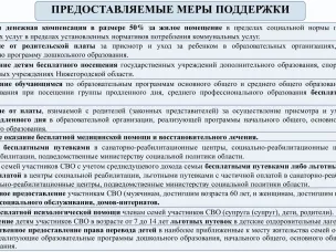 Предоставляемые меры поддержки